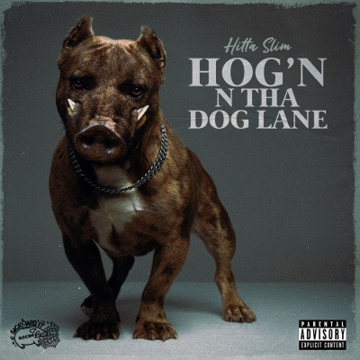 Hitta Slim - Hog'n N Tha Dog Lane (2020) [FLAC + 320 kbps]