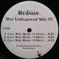 Redman 1995 Dat Undaground Shit Vinyl FLAC 24 96