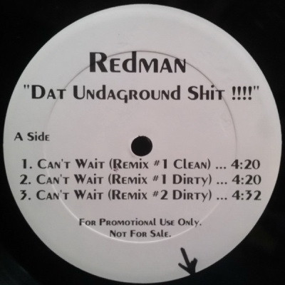 Redman - Dat Undaground Shit!!!! (1995) (VLS) [Vinyl] [FLAC] [24-96]