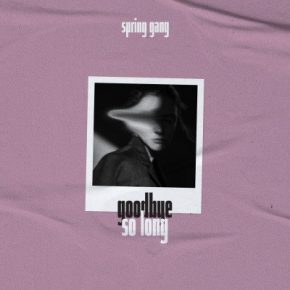 Spring Gang 2020 Goodbye So Long FLAC 24 48