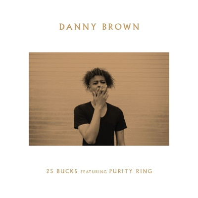 Danny Brown - 25 Bucks (2014) [FLAC]