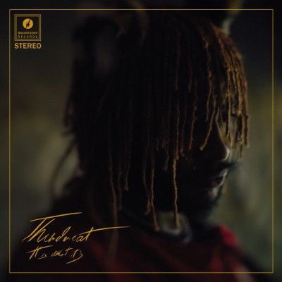 Thundercat 2020 It Is What It Is Vinyl FLAC 24 192 BF 100