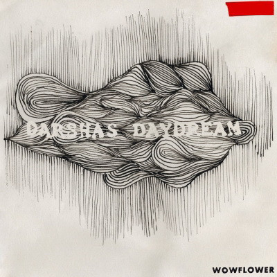 wowflower 2020 darshas daydream FLAC