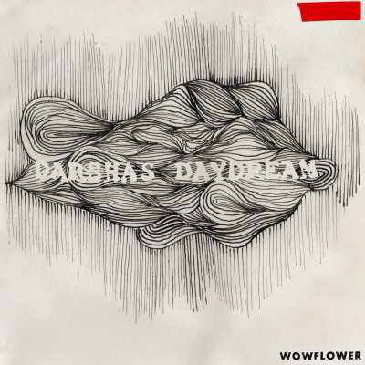 Wowflower - Darshas Daydream (2020) [FLAC + 320kbps]