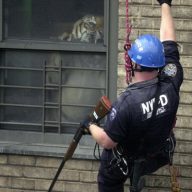 Armand Hammer 2020 Shrines FLAC