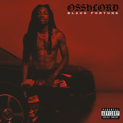 Black Fortune 2020 OSSHLORD FLAC