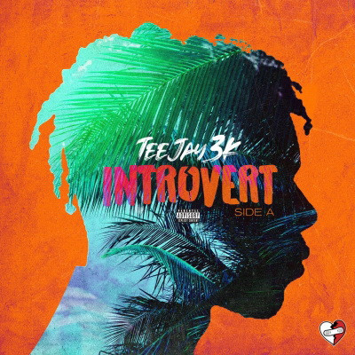 Teejay3k 2020 Introvert Side A FLAC 24 441