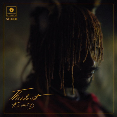 Thundercat 2020 It Is What It Is Japan Edition FLAC BRC 631