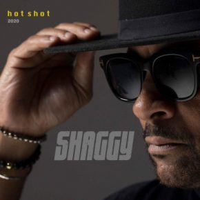 Shaggy - Hot Shot 2020 (Deluxe) (2020) [FLAC]
