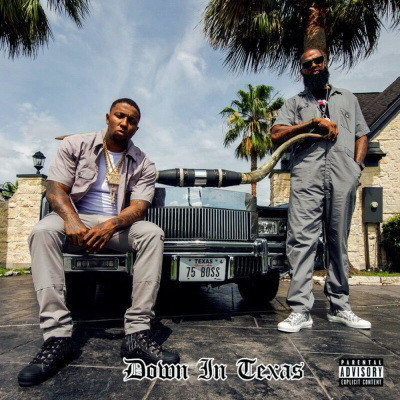 Slim Thug & Killa Kyleon - Down In Texas (2020) [FLAC]