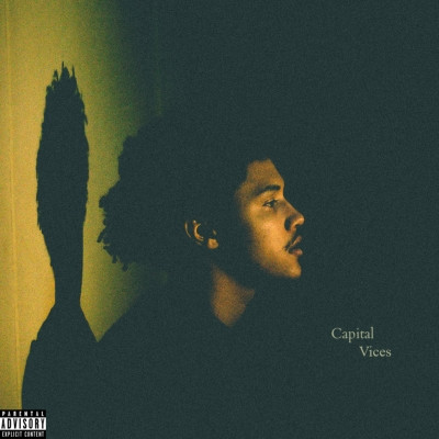 ALLN 2020 Capital Vices FLAC 24 441