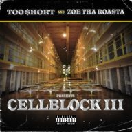 Various Artists - Cell Block III (2020) [FLAC] [Dangerous Music]