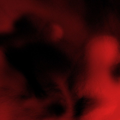 not 2020 Beautiful Havoc FLAC 24 441