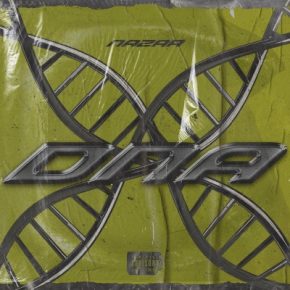 Nazar 2020 DNA FLAC