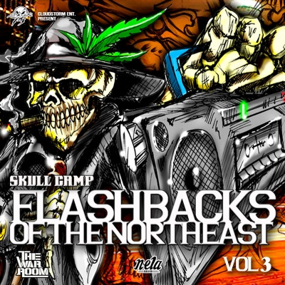 Skull Camp - Flashbacks of the Northeast, Vol. 3 (2020) [FLAC]