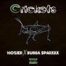 Hosier & Bubba Sparxxx - Crickets (2020) [FLAC]