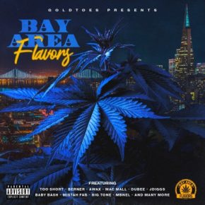 VA - Bay Area Flavors (2021) [FLAC + 320 kbps]