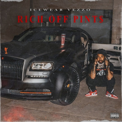 Icewear Vezzo 2021 Rich Off Pints 320