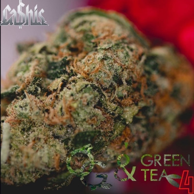 Cahis 2021 OG Green Tea 4 FLAC
