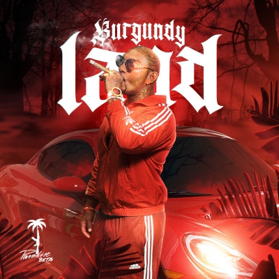 Paradise Beta 2021 Burgundy Land FLAC 24 44.1