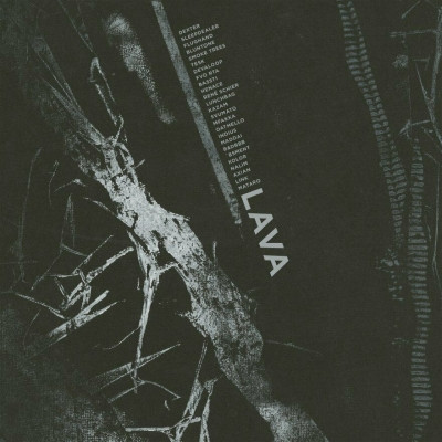 VA Lava LP 2018 FLAC 24 96 Vinyl Digital ‎ VinDig313