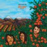 Brainstory - Ripe (2021) [FLAC + 320 kbps]