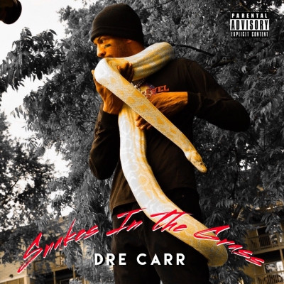 Dre Carr - Snakes In The Grass (2021) [320 kbps]