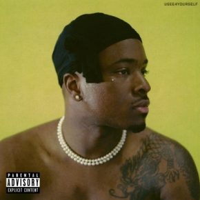 IDK 2021 USEE4YOURSELF Deluxe FLAC 24 176.4