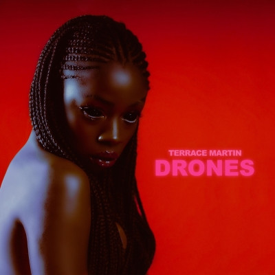 Terrace Martin 2021 DRONES FLAC