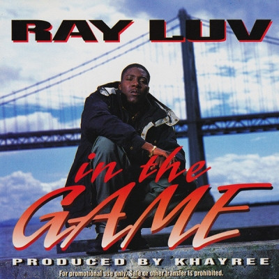 Ray Luv 1995 In The Game VLS FLAC 24 96