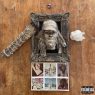 Earl Sweatshirt - SICK! (2022) [FLAC] [24-44.1]