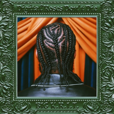 Big K.R.I.T. 2022 Digital Roses Dont Die FLAC