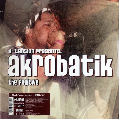 D-Tension Presents Akrobatik,Apathy,Mr. Lif - The Fugitive / Trouble Shooting / D.S.L. (2002) [Vinyl] [FLAC] [24-96]