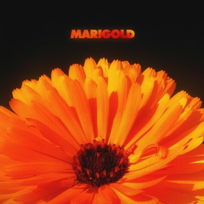 Alex Isley 2022 Marigold FLAC 24 44.1