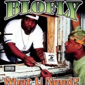 Blofly - What U Need? (2001) [FLAC]