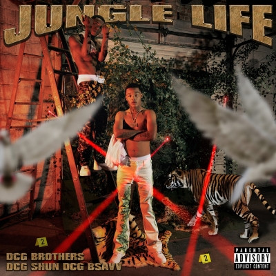 DCG Brothers (DCG Shun & DCG Bsavv) - Jungle Life (2022) [FLAC + 320 kbps]