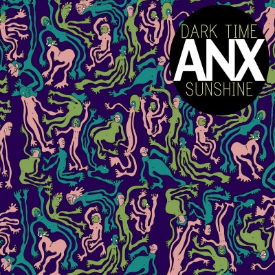 Dark Time Sunshine - ANX (2012) [FLAC]