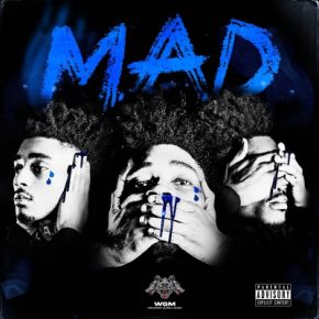 Madmarcc 2022 MAD. FLAC