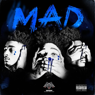 Madmarcc - MAD. (2022) [FLAC + 320 kbps]