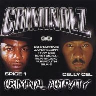 Criminalz 2001 Criminal Activity FLAC