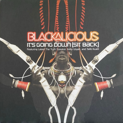 Blackalicious 2002 Its Going Down Sit Back Vinyl FLAC 24 96