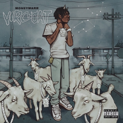 MoneyMarr 2022 VIRGOAT 320