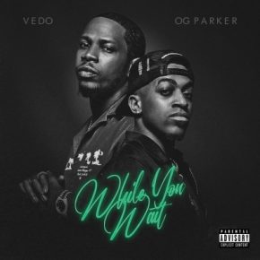 Vedo 2022 While You Wait FLAC 24 88.2