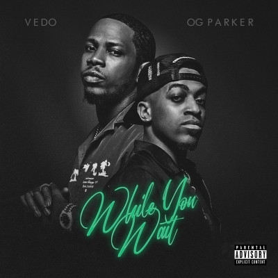 Vedo 2022 While You Wait FLAC 24 88.2