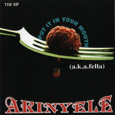 Akinyele 1996 Put It In Your Mouth FLAC