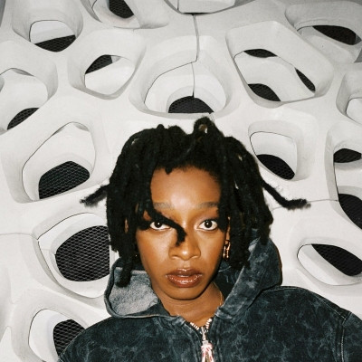 Little Simz 2022 NO THANK YOU FLAC