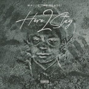 Wallie the Sensei 2022 Here 2 Stay FLAC