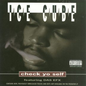 Ice Cube - Check Yo Self (CDS) (2CD Box-Set) (1993) [FLAC]