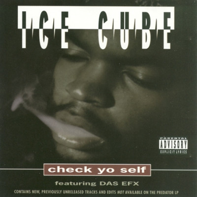 Ice Cube 1993 Check Yo Self CDS FLAC