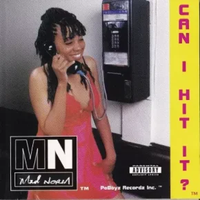 Mad Norm - Can I Hit It? (1995) [FLAC]